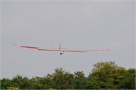 Murray_Glider -crow-2